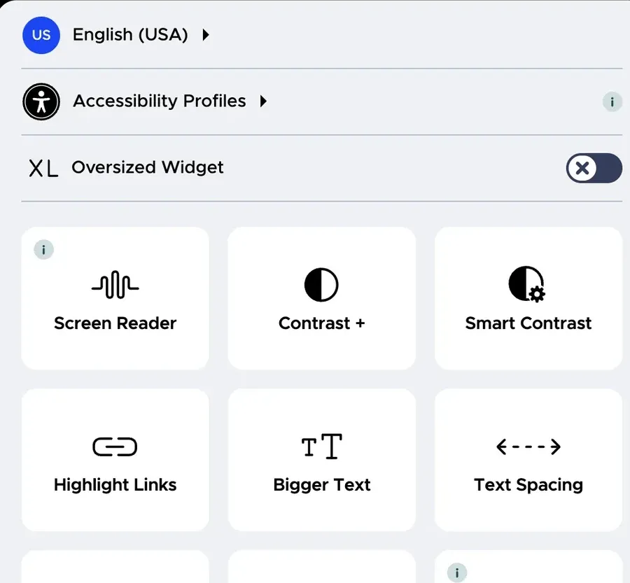 The menu an accessibility overlay widget adds to a website
